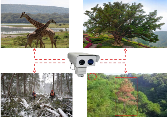 双光谱视频监控